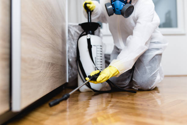 Best Pest Control Near Me  in Eglin Af, FL