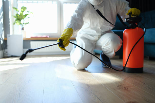 Best Pest Prevention Services  in Eglin Af, FL