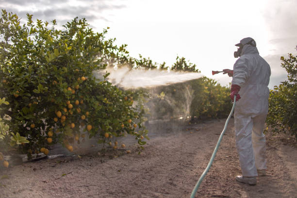 Wildlife Control Services in Eglin Af, FL