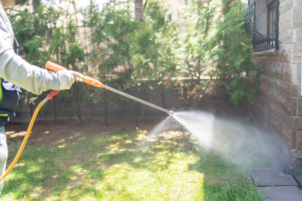Best Affordable Pest Control Services  in Eglin Af, FL