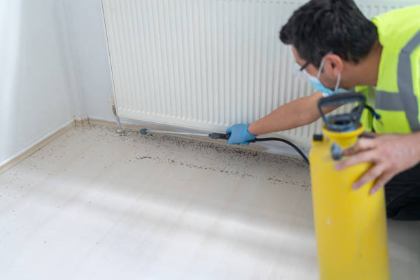 Best Commercial Pest Control Services  in Eglin Af, FL